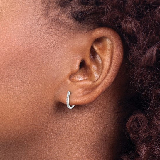 Hinged Hoop Earrings